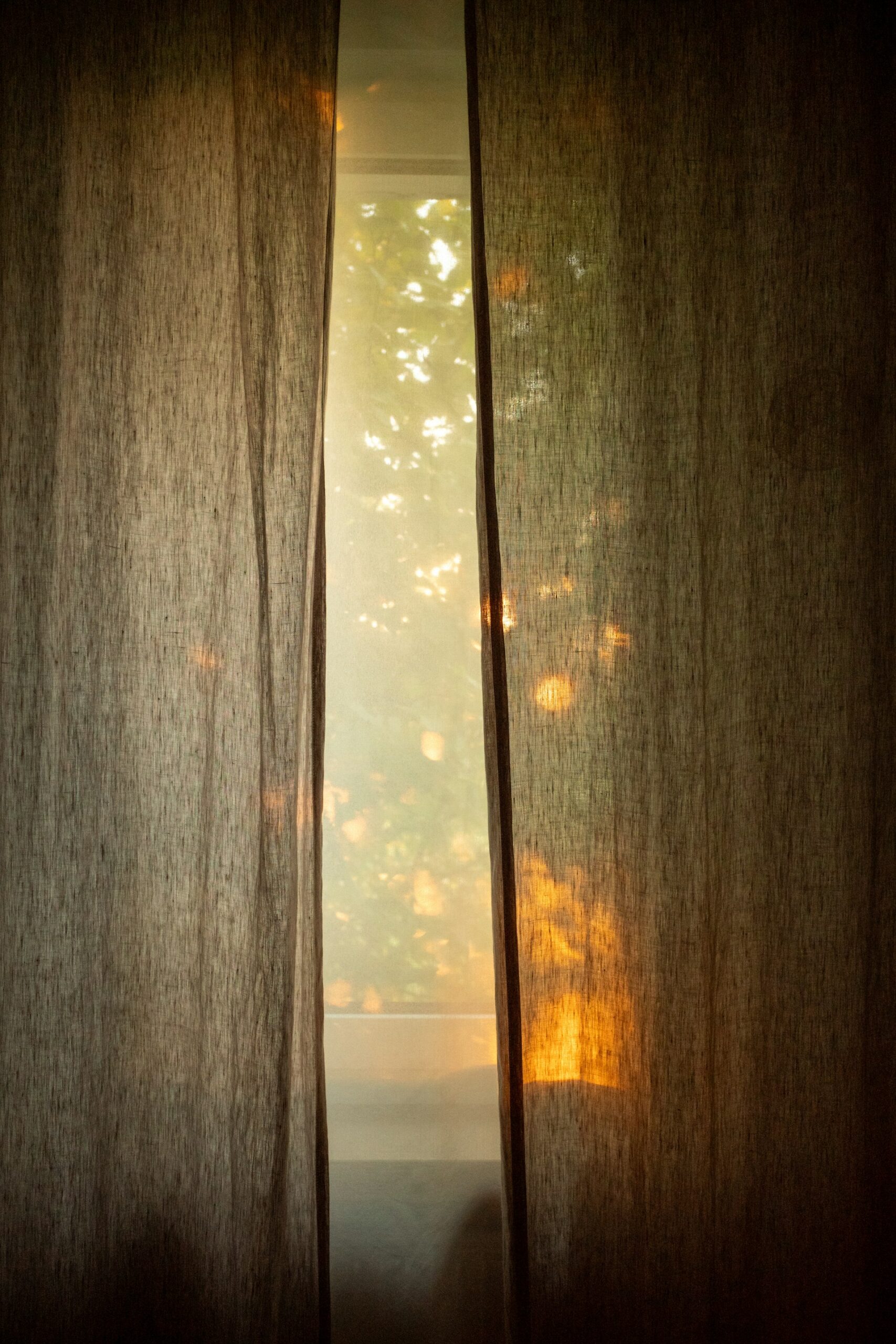 Menghargai Detail yang Membuat Hari Lebih Bermakna